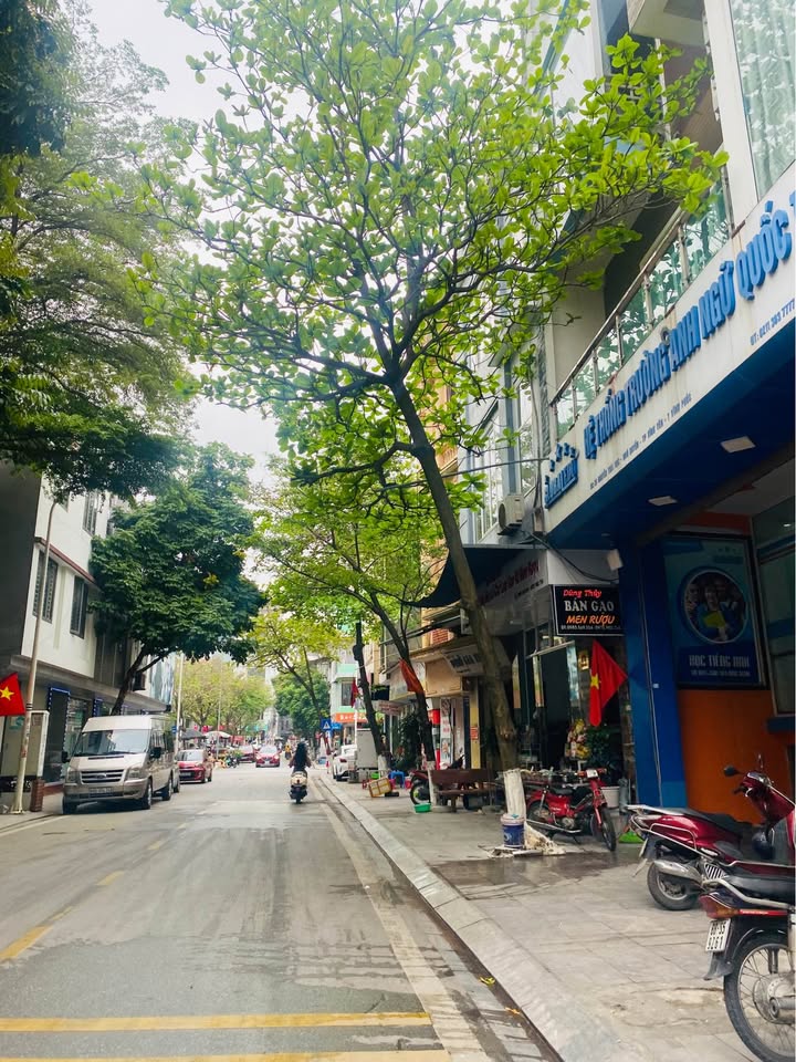 Đất Vàng Nguyễn Thái Học, Vĩnh Yên 70m² - Kinh Doanh Đỉnh Cao, Sổ Đỏ Sẵn Sàng