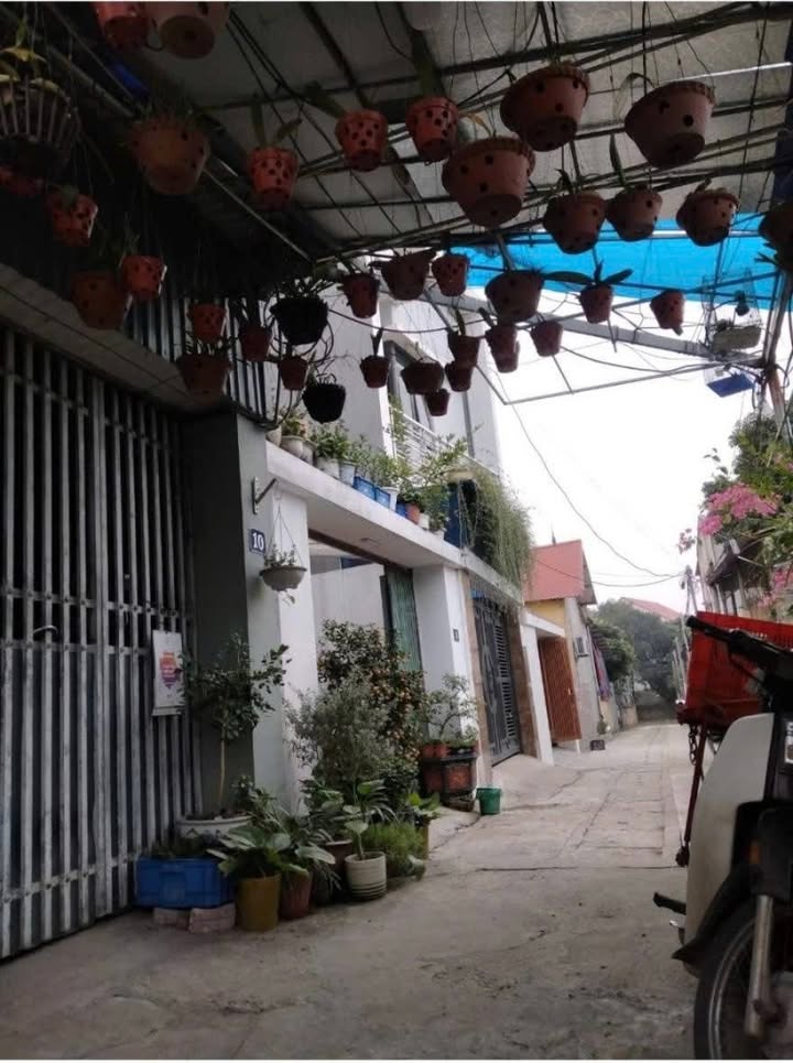 Nhà cấp 4 Vĩnh Phúc 110m² - Đường ô tô tránh, giá 1.8 tỷ sẵn ở ngay