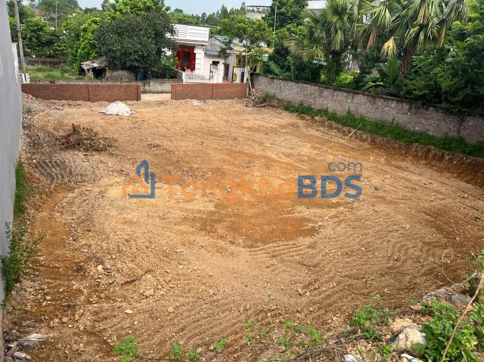 Đất Vườn Vĩnh Phúc 598m² - Mặt Tiền Rộng 19m - Giá Đầu Tư 6.5 Tỷ