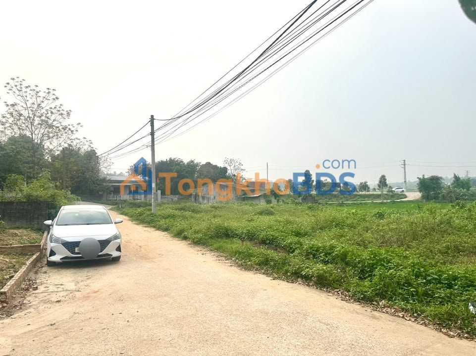 Đất Vàng Tam Dương - 102m² Sổ Đỏ Thổ Cư, Gần KCN, Giá Đầu Tư 1.3 Tỷ