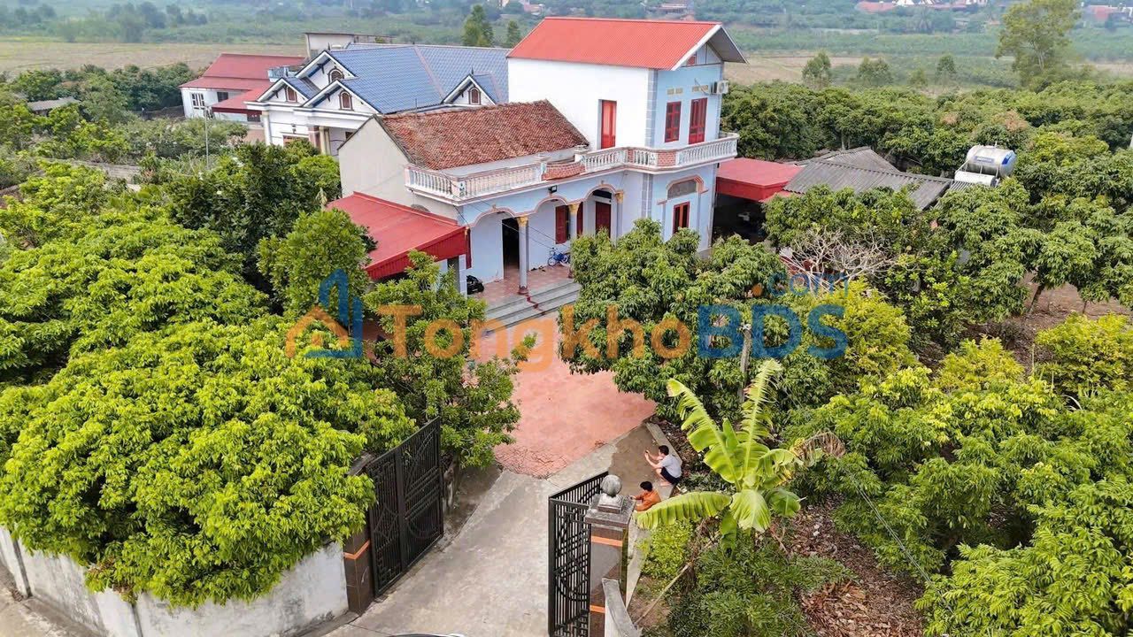 Bán Gấp Đất Vườn 1400m² Tặng Nhà 2 Tầng Vĩnh Phúc - Chỉ 1 Tỷ