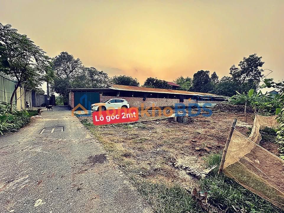 Đất Vàng Góc Lô TT Đạo Đức, Bình Xuyên 90m² - Sổ Sẵn Sàng Giao Dịch