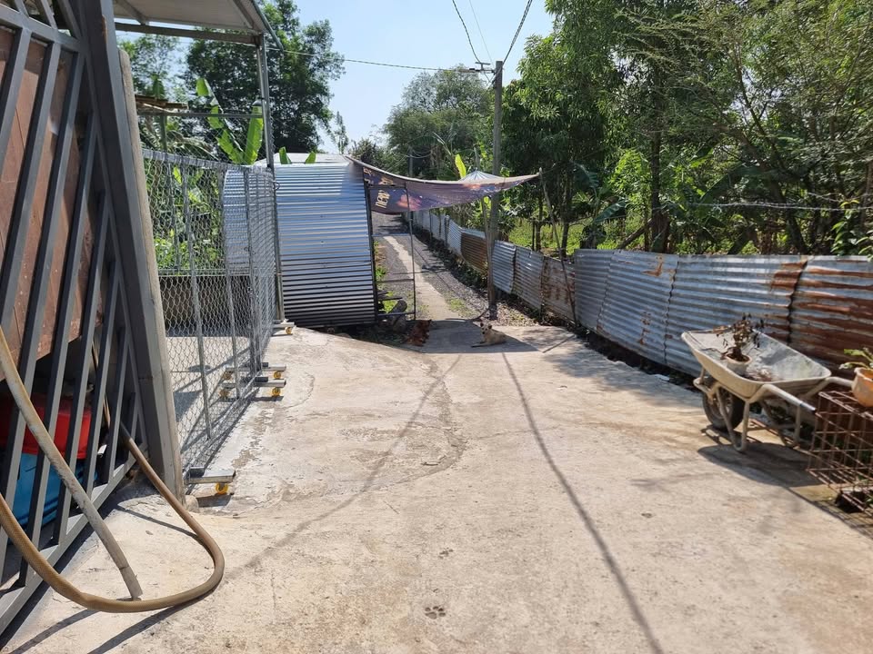 Nhà Cấp 4 Phú Xuân - Định Quán 115m² Giá 550 Triệu - Sẵn Sàng Ở Ngay