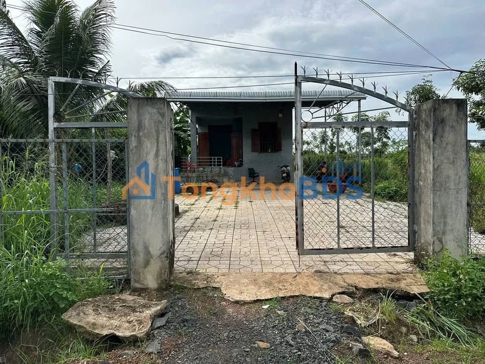 Bán Đất Vườn 9000m² Tân Tiến, Bù Đốp - Nở Hậu Tốt, Sổ Hồng Sẵn Sàng