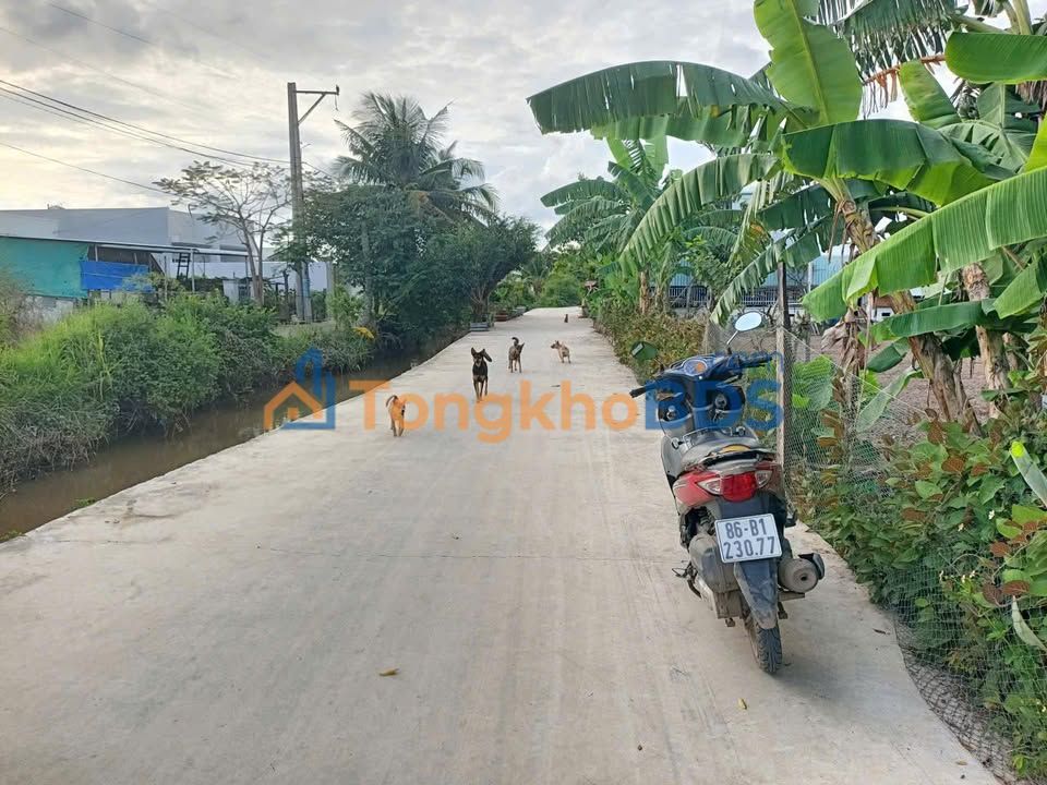 Đất Nền Thổ Cư Phong Nẫm, Phan Thiết - 140m²/lô - Sổ Đỏ Sẵn Sàng