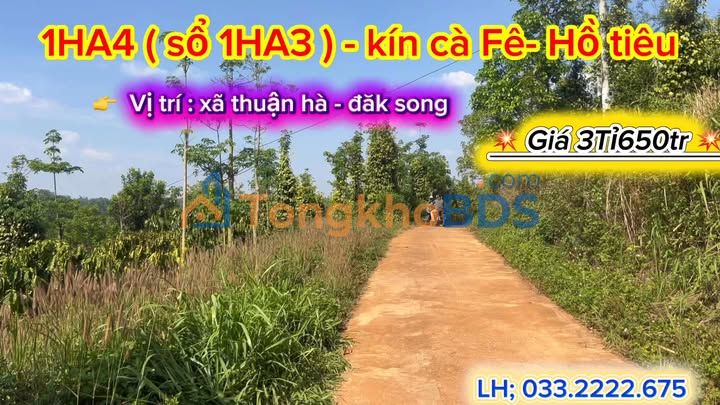 Farm 14.000m² Đắk Nông - 3.65 Tỷ - Trụ Tiêu Kinh Doanh Vượng Khí