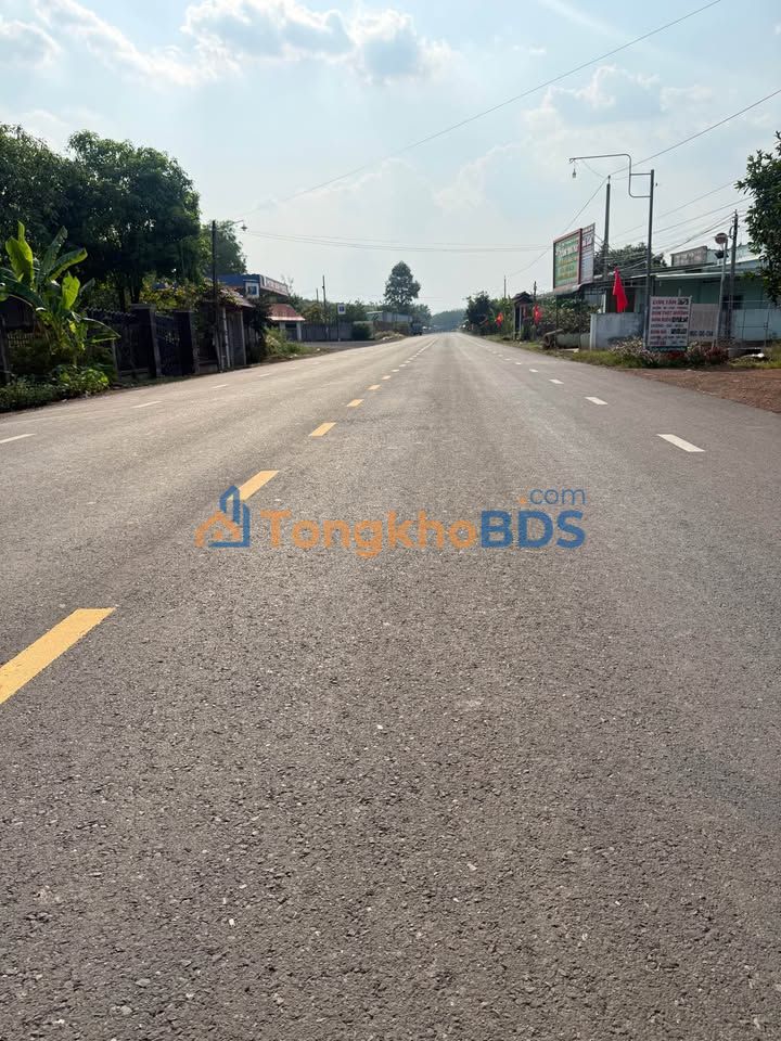 Mặt Tiền Tân Hòa 300m² - Kinh Doanh Đắc Lợi - Giá Ngộp Bất Ngờ