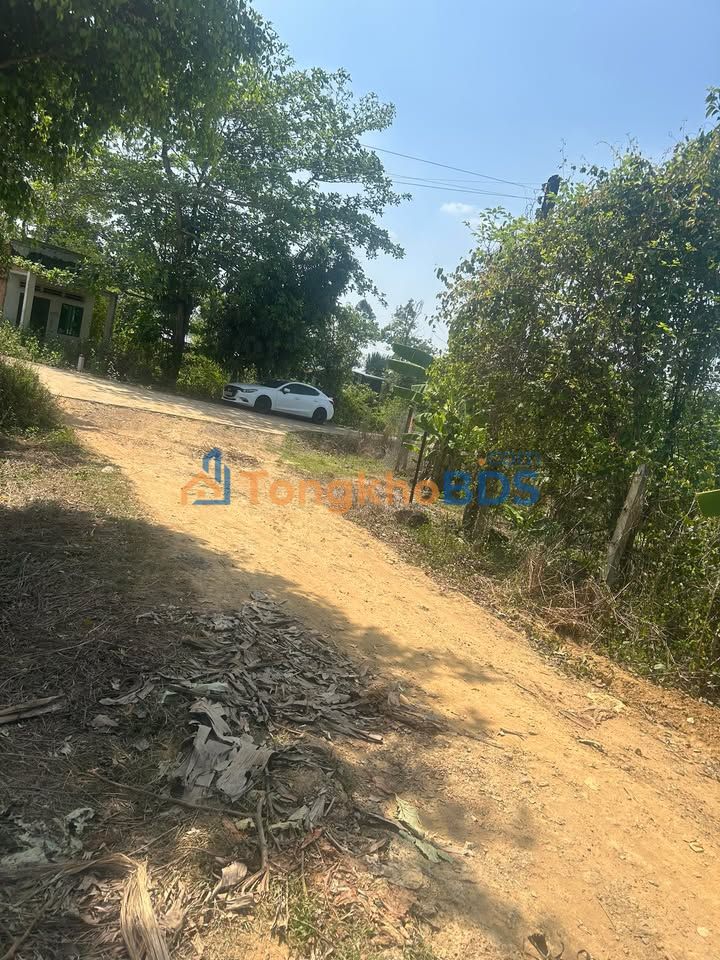 Đất nền Đồng Nai 650m² giá 290 triệu - Sổ sẵn, đầu tư sinh lời