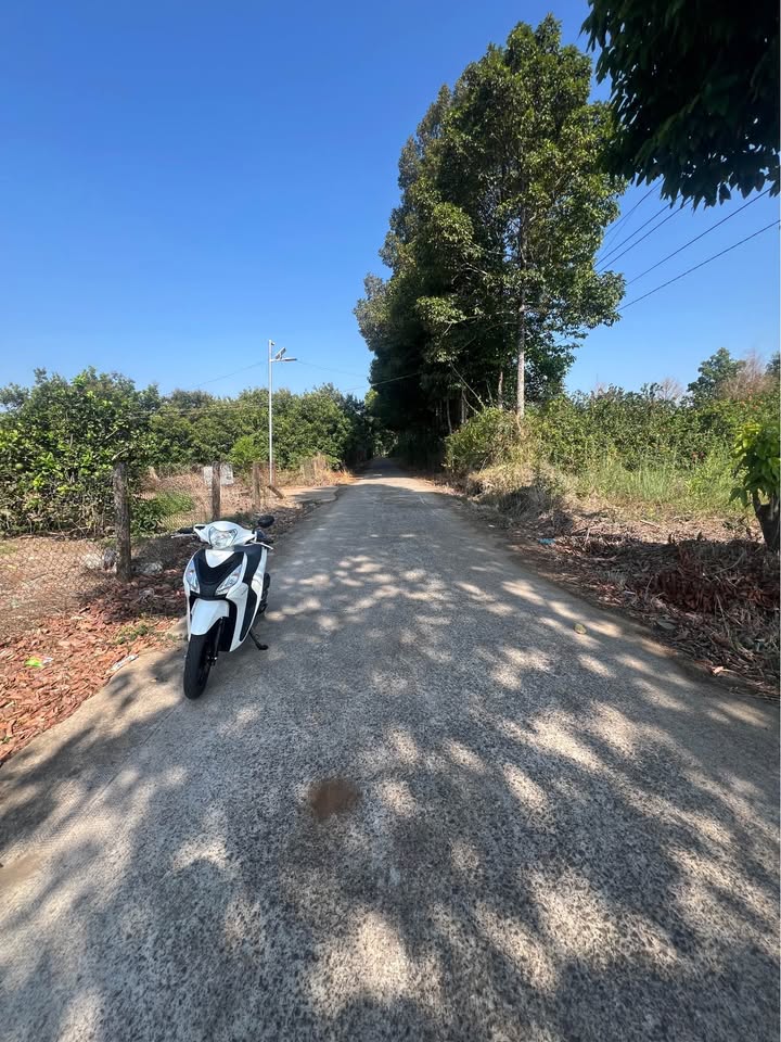 Đất Vườn 1000m² Đồng Nai - Sổ Hồng Sẵn, Giá Đầu Tư 1 Tỷ xxx