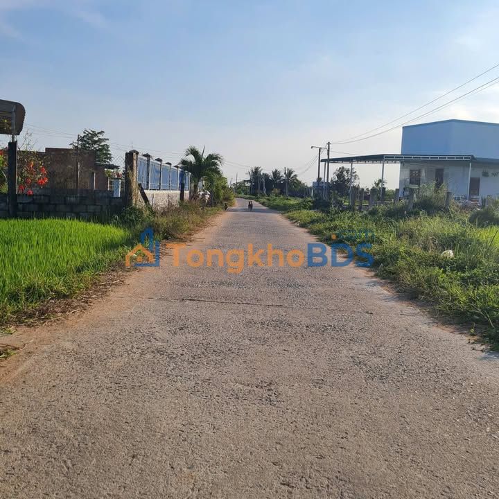 Đất thổ cư Hàm Thuận Bắc 150m² - Sổ đỏ sẵn sàng, giá 330 triệu