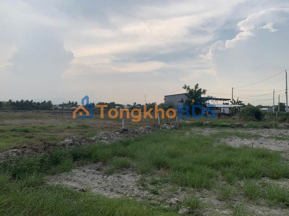 Đất Vườn Ninh Phước 1.200m² - Giá 550 Triệu, Ô Tô Tới Đất, Sẵn Sổ