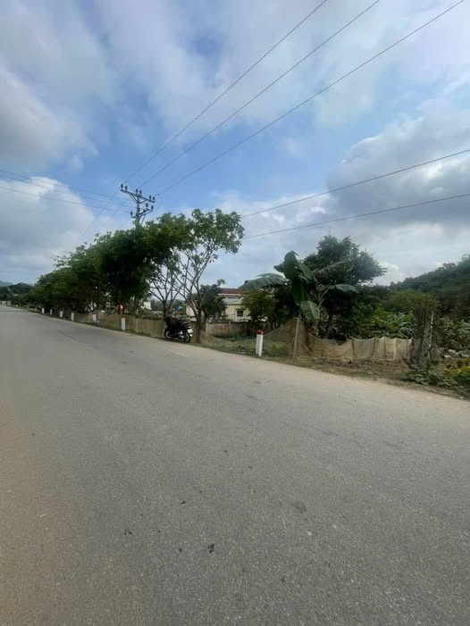 Đất Nền Lạc Thủy 5000m² - Mặt Tiền Tỉnh Lộ 438 - Tiềm Năng Đầu Tư Vượt Trội