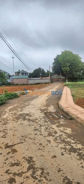 Đất Vàng Thôn 4 Phú Cát - 577m² Mặt Tiền DH09, Giá Tốt Đầu Tư