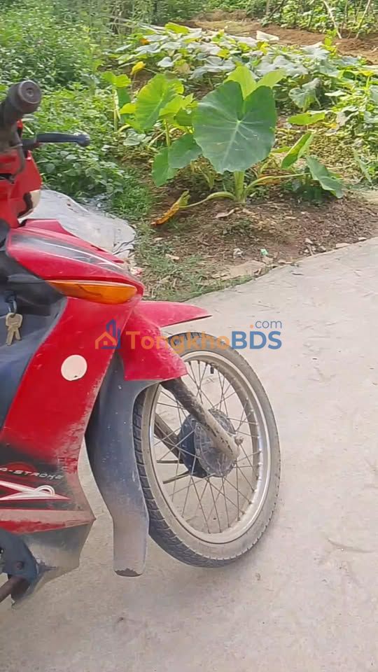 Đất nền 80m² Hạ Bằng, Thạch Thất - Gần CNC Hòa Lạc, Sổ đỏ 100m