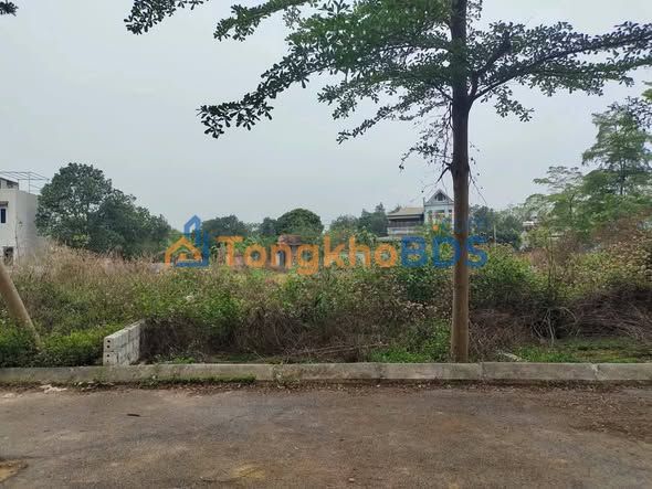 Bán Gấp Đất Nền 72.3m² Hạ Bằng - Giá Rẻ Hơn Thị Trường 5 Giá