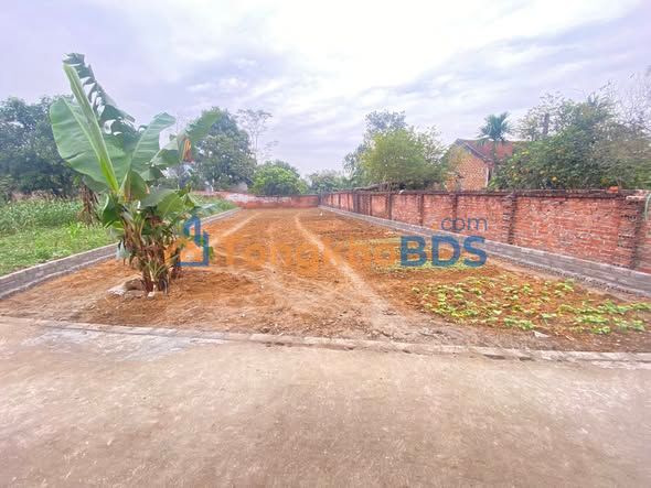 Đất nền 358m² Cánh Chủ, Hòa Lạc - Sổ hồng sẵn, ô tô vào đất