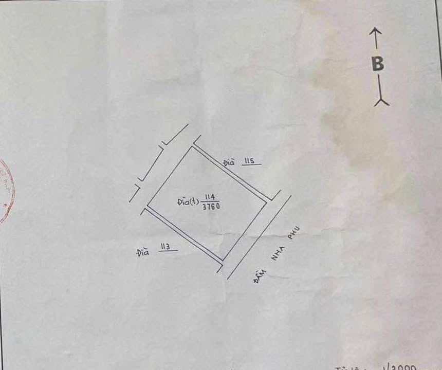 Bán Đất Vịnh Nha Phu 3800m² - Sổ Đỏ Vuông Vắn, Ô Tô Tới Nơi