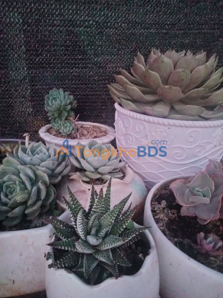 Đất nền Vân Hồ, Sơn La 4500m² - Vị trí đắc địa, tiềm năng đầu tư