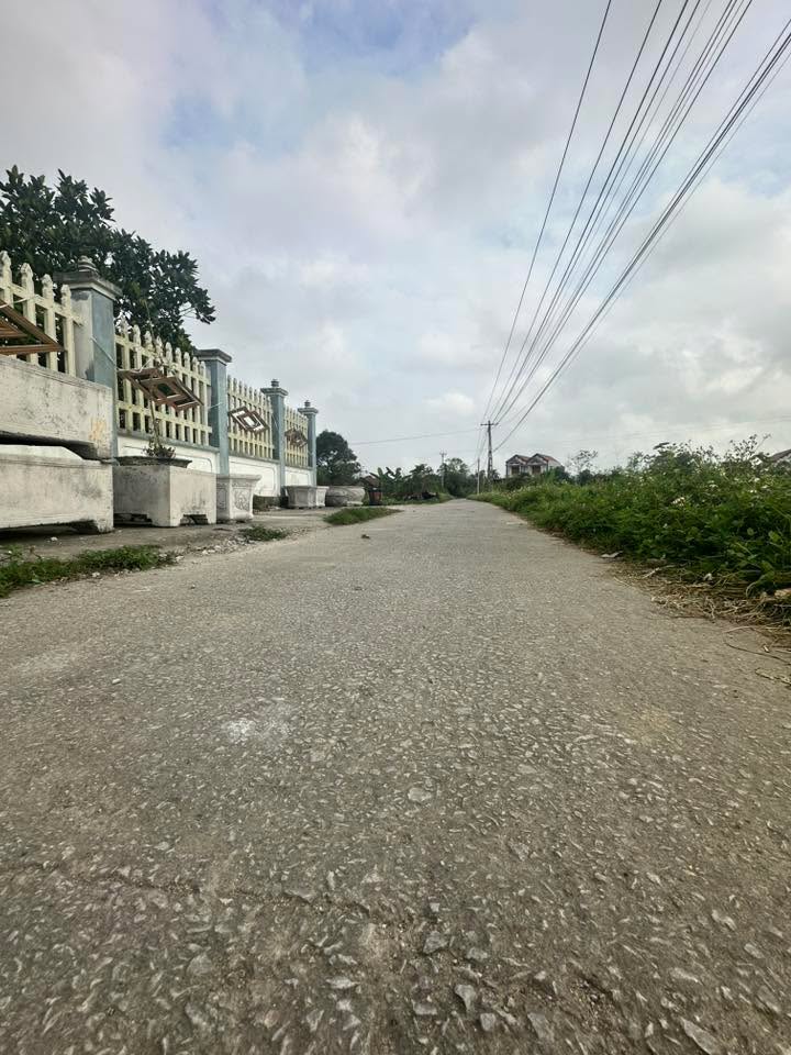 Bán Gấp 2 Lô Liền Kề Tuy Lộc, Hậu Lộc - 400m² Full Thổ, Giá 1.35 Tỷ