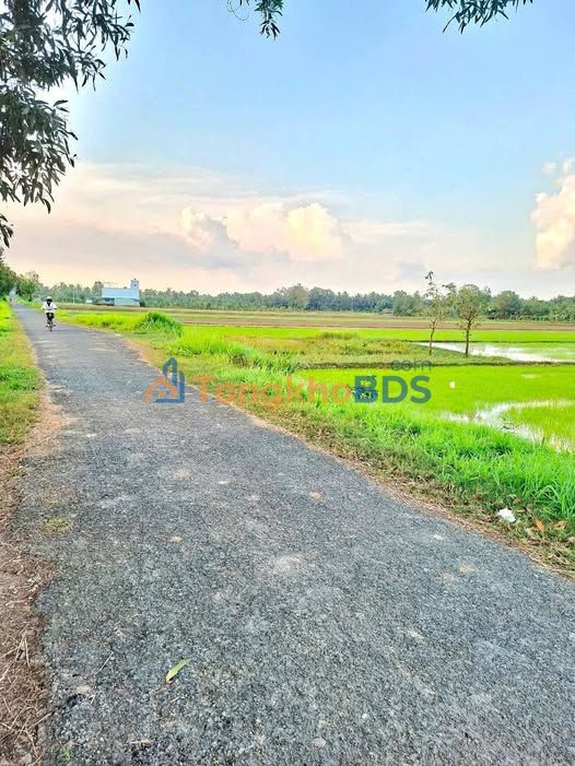 Đất nền 3596m² mặt tiền nhựa, giá 450 triệu - Cầu Ngang, Trà Vinh