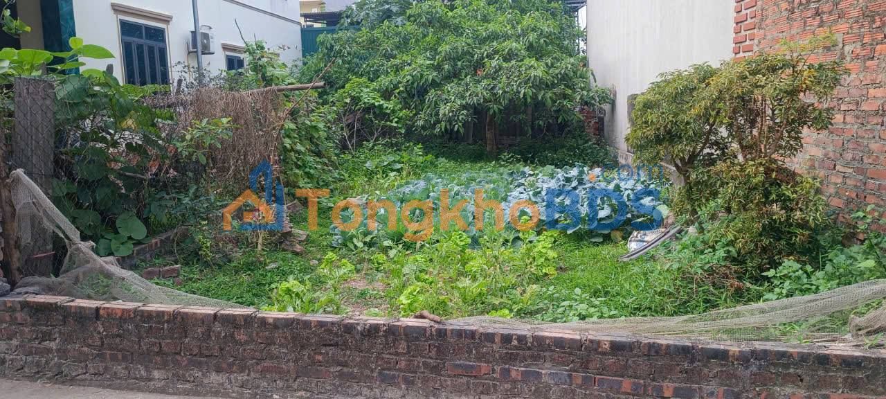 Đất TĐC Bắc Hạ 100m² - Sổ Đỏ Sẵn Sóc Sơn, Giá 4.x Tỷ