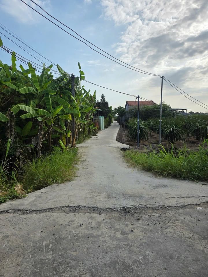 Đất Vườn Long An 1000m² - Sổ Đỏ Sẵn Sàng, Ô Tô Tới Đất