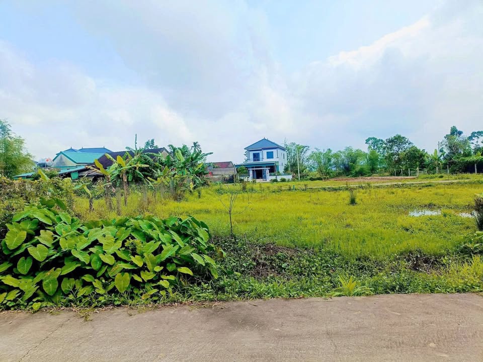 Đất nền Văn Yên, Hà Tĩnh - 148m² 2 mặt tiền, giá 1 tỷ - Đầu tư sinh lời