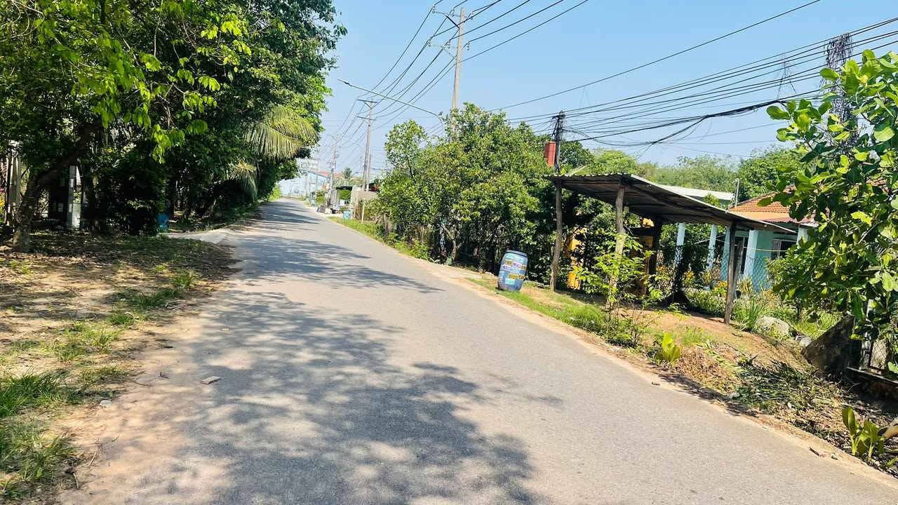 Bán Đất Vành Đai 4 Bàu Bàng 280m² - Sổ Đỏ Sẵn Sàng - Giá Tốt Đầu Tư