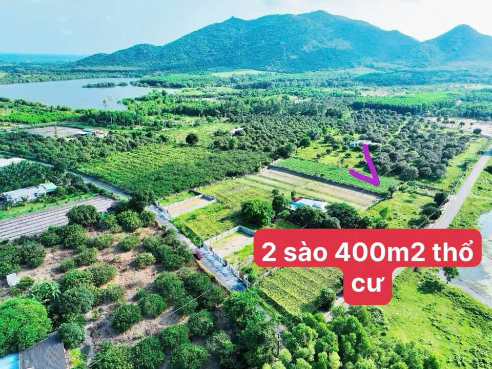Bán Đất Vườn 2000m² Phước Hải, BR-VT - View Núi, Gần Biển, Giá 4.6 Tỷ