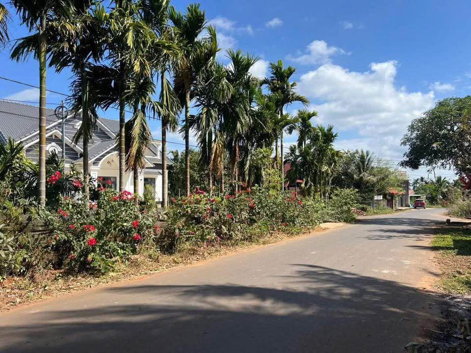 Bán Đất 11.000m² Mặt Tiền Đường Thông Nguyễn Thái Bình - 16 Tỷ