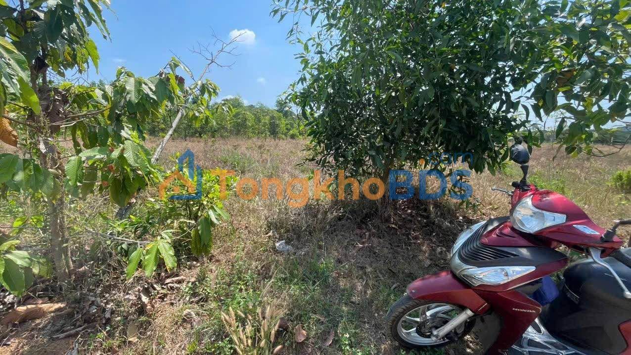 Đất Vườn Đồng Nai 1288m² Sổ Hồng Riêng - Giá 890 Triệu