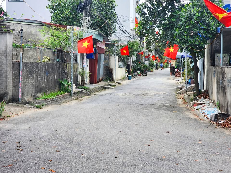 Đất Mặt Tiền Lương Khê Thủy Nguyên 90m² - Kinh Doanh Đỉnh Cao