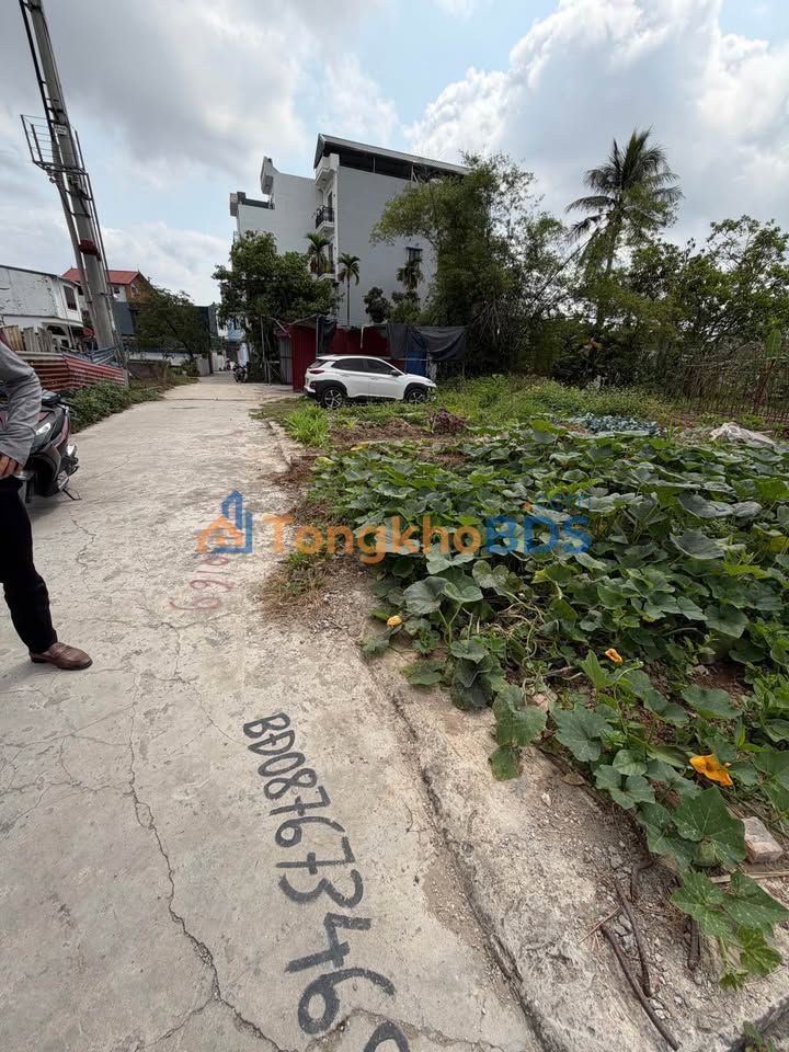 Đất Lô Góc TDP Bạch Mai, An Hải, An Dương - 50m² Đường 30m, Giá 1.x Tỷ