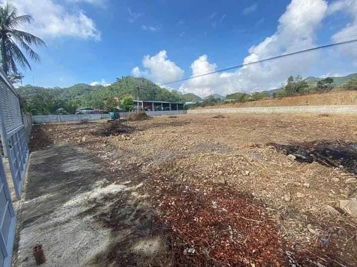 Đất Mặt Tiền QL1A Lương Sơn 5000m² - Giá 75 Triệu/Tháng