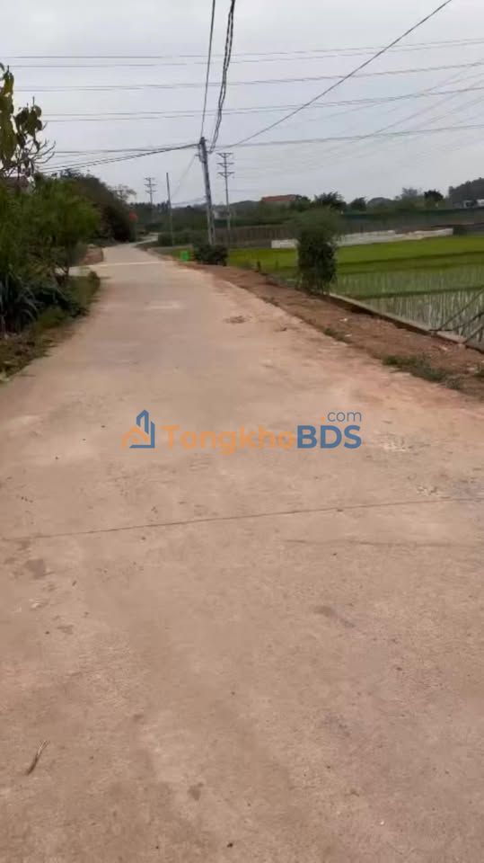 Đất nền Xã Kép, Lạng Giang 100m² full thổ cư, view đồng - Giá 8xx triệu