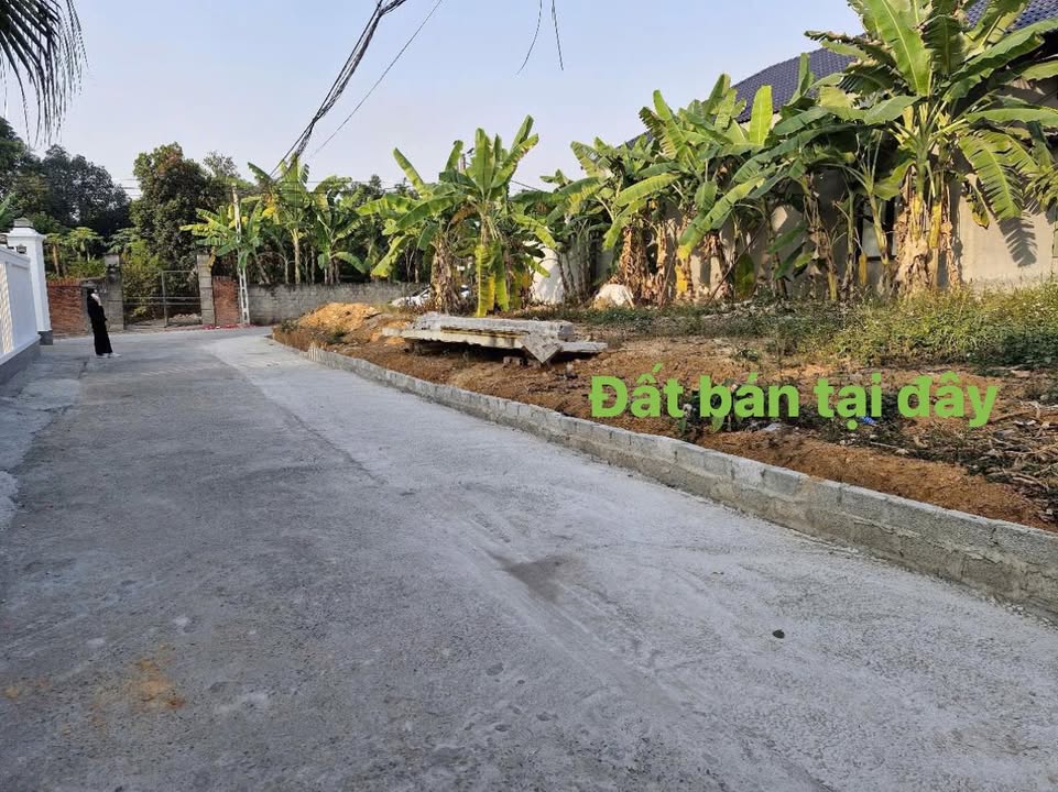 Đất nền góc Vĩnh Phúc 126m² - Giá 1.4 tỷ, sổ đỏ sẵn sàng giao dịch