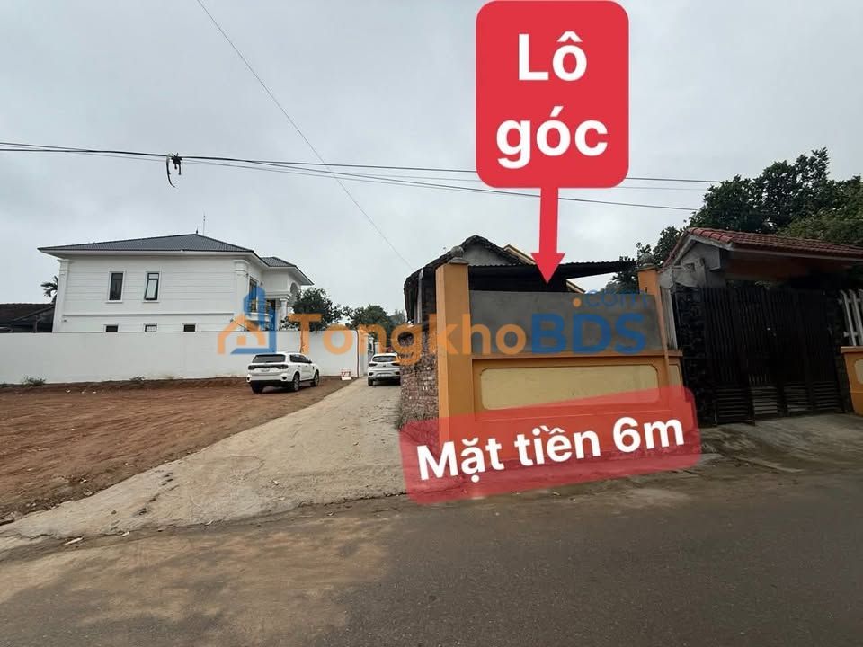 Bán Đất Lô Góc Vĩnh Yên 100m² - Kinh Doanh/Đầu Tư Đắc Lợi