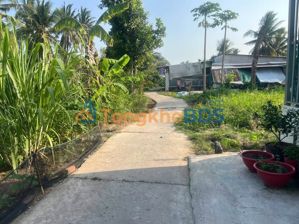 Bán Nền Thổ Cư 81m² Ba Láng, Cần Thơ - Sổ Hồng Sẵn, Giá 500 Triệu