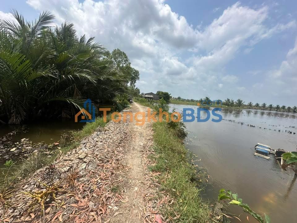 Bán Đất Vườn 6.48ha Phước Long, Bạc Liêu - 7.02 Tỷ, Mặt Tiền 100m