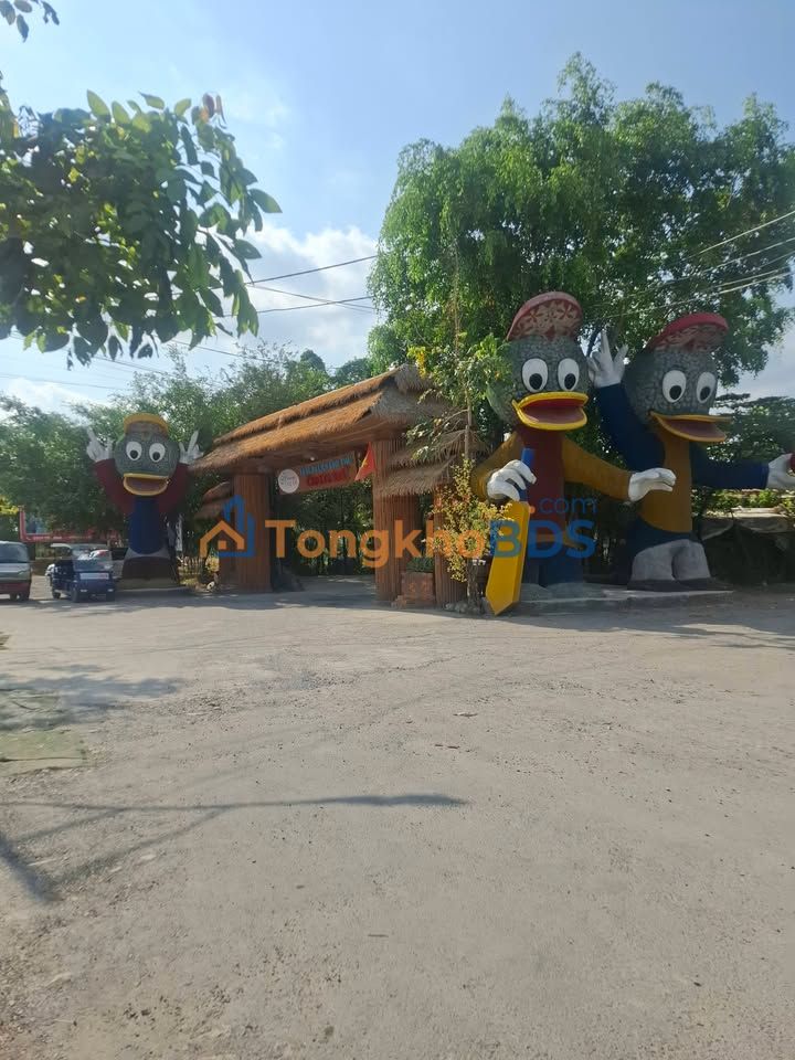 Bán Gấp Đất Nền Mỹ Ái, Ninh Kiều 43.8m² - Giá Tốt 6xx Triệu