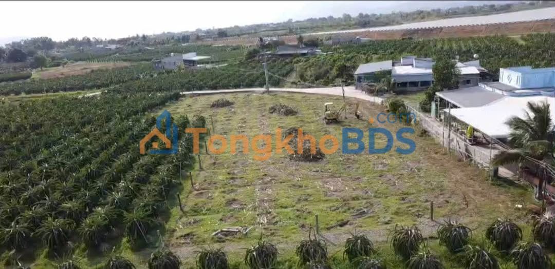 Bán Đất 1700m² Mặt Tiền Kép Xã Hàm Hiệp, Bình Thuận - 790 Triệu