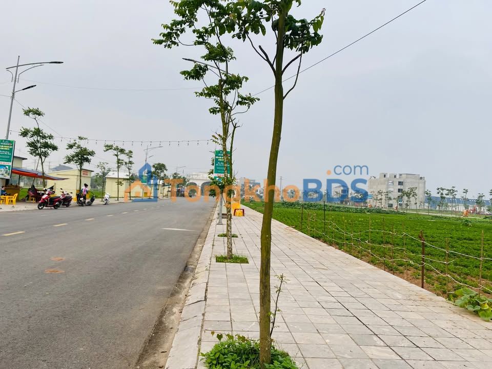 Đất Nền Ngay Ngã Tư KCN Tiền Hải - 100m² Sổ Đỏ Sẵn Sàng