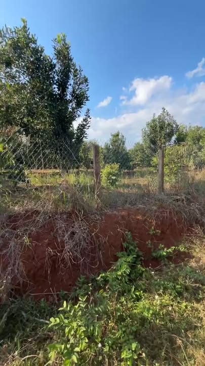 Đất Nền Krông Năng 1512m² - 2 Mặt Tiền, Giá 3 Tỷ