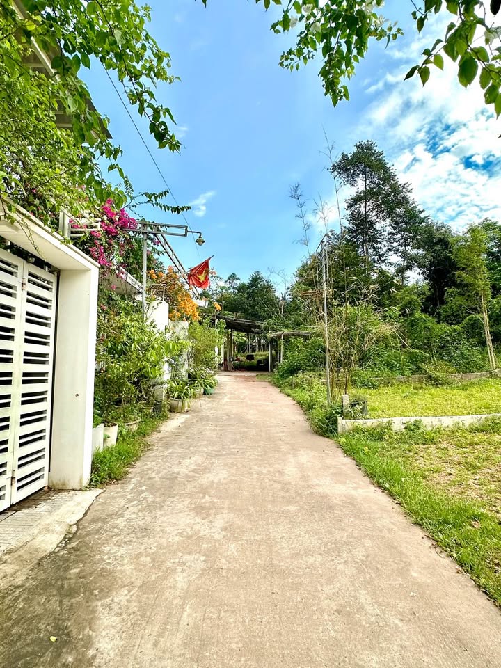 Đất Nền 111.3m² Kiệt Oto Phan Kế Bính, Huế - Sổ Hồng Chính Chủ