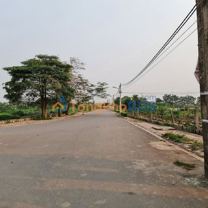 Bán Gấp Đất Đấu Giá 66m² Thuận An, Hà Nội - Sổ Hồng Sẵn Sàng