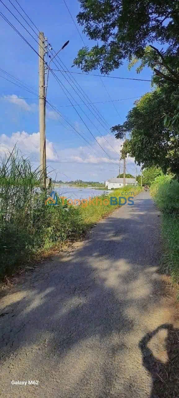 Bán Gấp Ruộng Vườn 7.5 Công Tại Bình Đức, Long Xuyên - Lộ Ô Tô