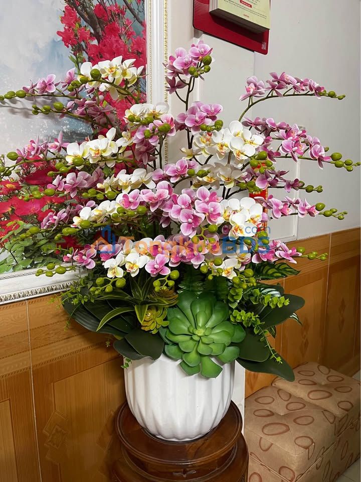 Đất Nền Đồng Tử 3, Hải Phòng 41m² - Sổ Đỏ Chính Chủ, Giá Chỉ Từ 8xx Triệu