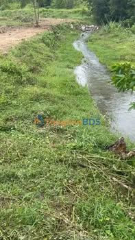 Đất Farm 29.000m² Ninh Hòa - View Suối, Ô Tô Tới Đất