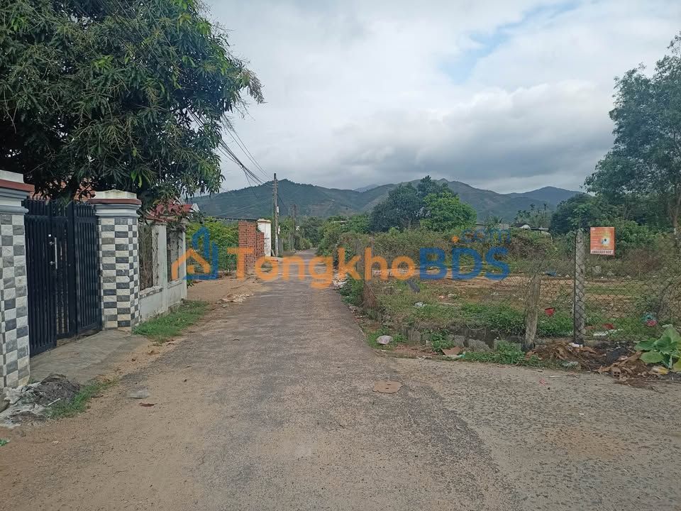 Đất Suối Nho Đồng Nai 9420m² - Sổ Đỏ Thổ Cư, Mặt Tiền 22m