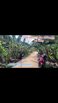 Đất Vườn Trảng Bom 1000m² Sổ Riêng - Giá 500 Triệu Chính Chủ